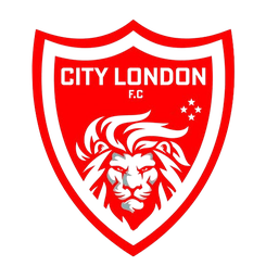 兰登U20队徽